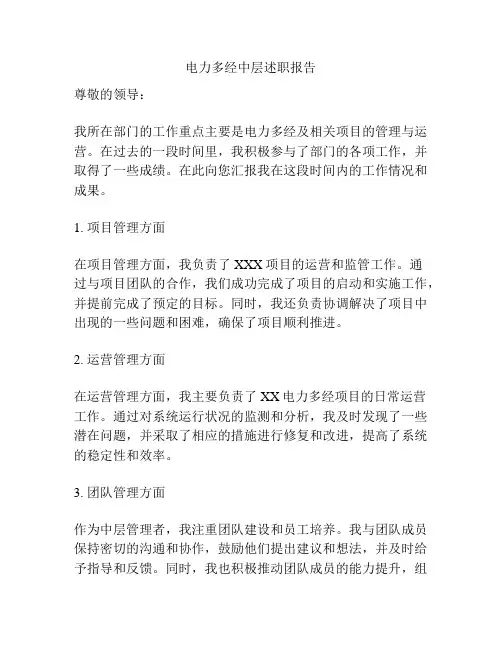 电力多经中层述职报告
