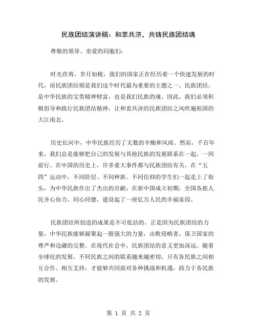 民族团结演讲稿：和衷共济,共铸民族团结魂