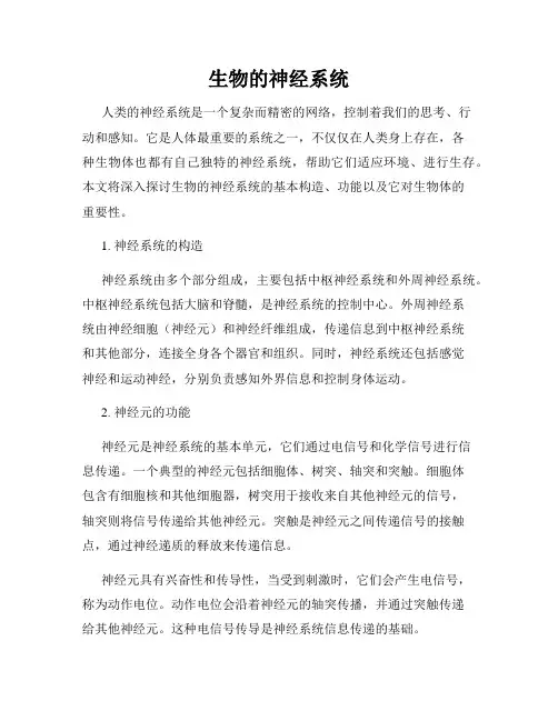生物的神经系统