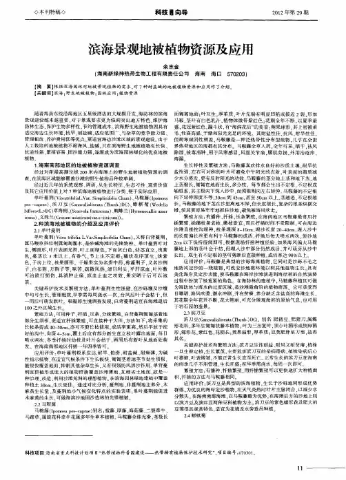 滨海景观地被植物资源及应用
