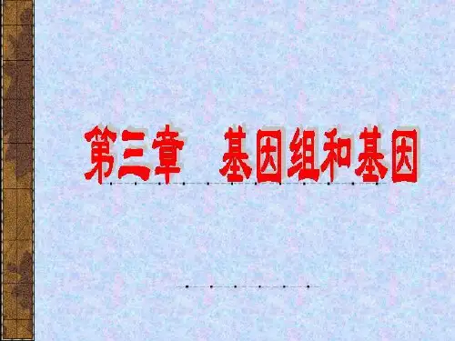05第三章基因与基因组结构1