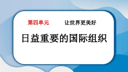《日益重要的国际组织》PPT免费课件
