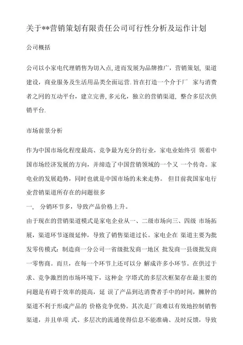 关于XX营销策划有限责任公司可行性分析及运作计划
