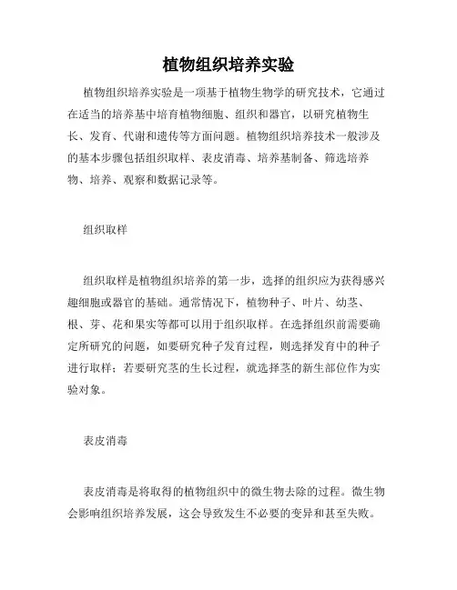植物组织培养实验
