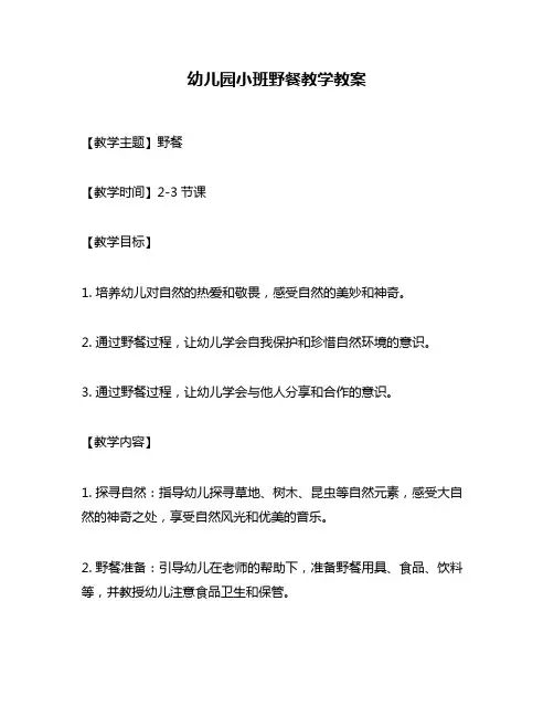 幼儿园小班野餐教学教案