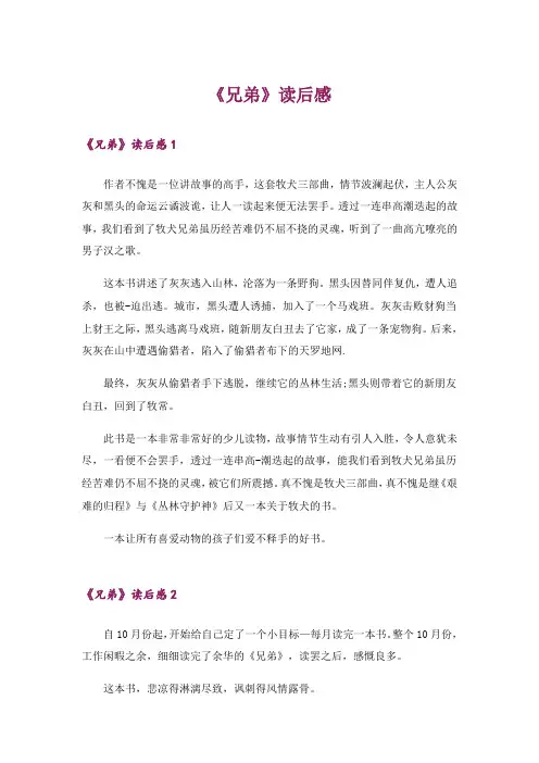 《兄弟》读后感