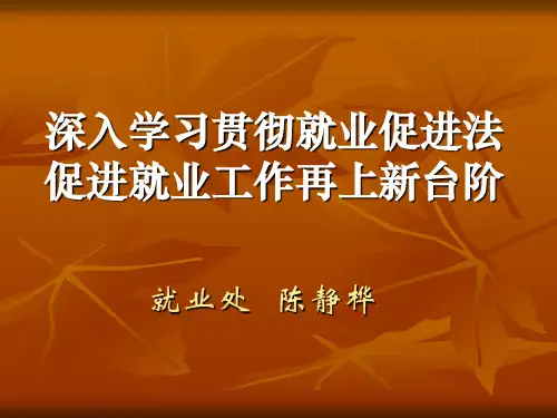 律师事务所培训资料 就业促进法讲座