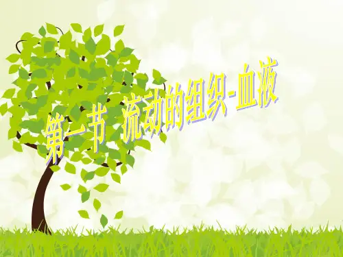 流动的组织--血液PPT课件