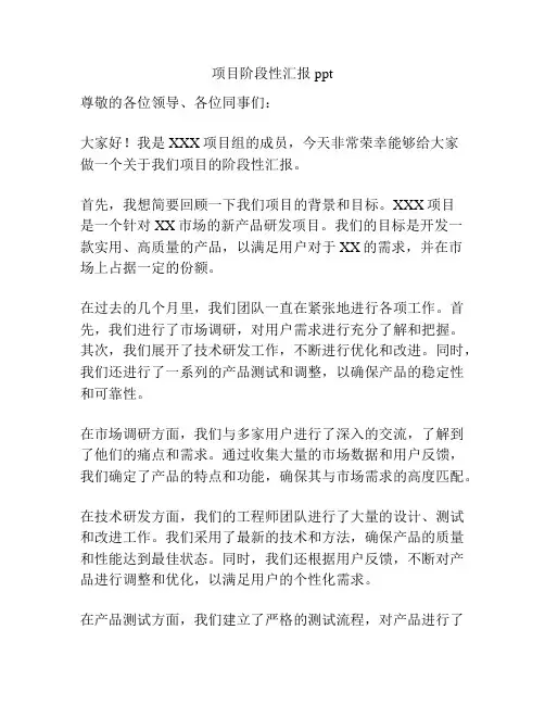 项目阶段性汇报ppt