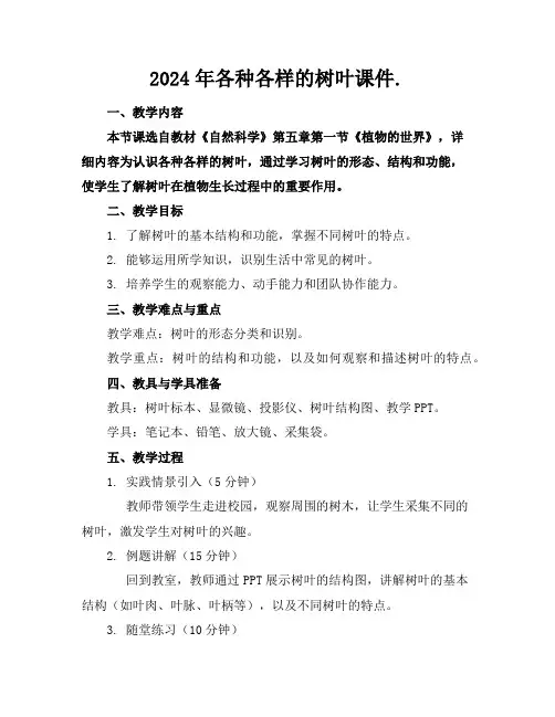2024年各种各样的树叶课件.
