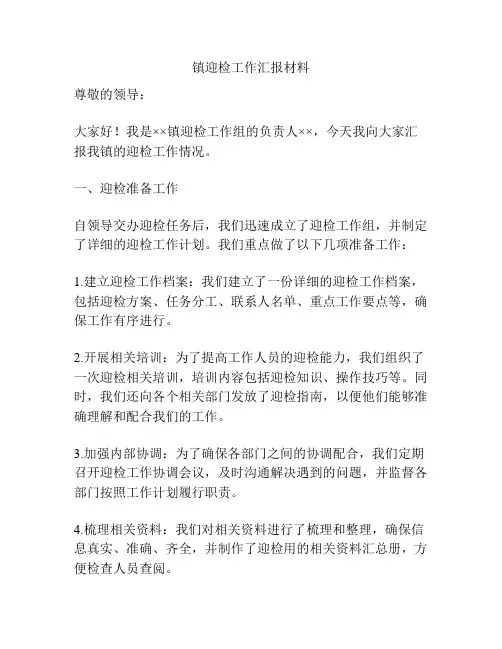 镇迎检工作汇报材料