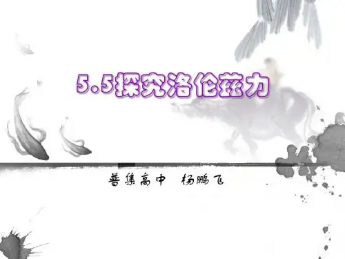 5.5探究洛伦兹力 演示
