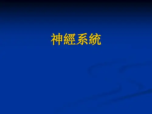 学前儿童卫生与保健课件：神经系统