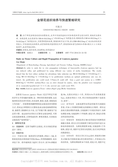 金银花组织培养与快速繁殖研究