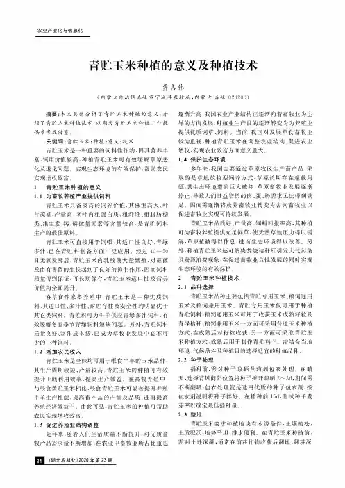 青贮玉米种植的意义及种植技术