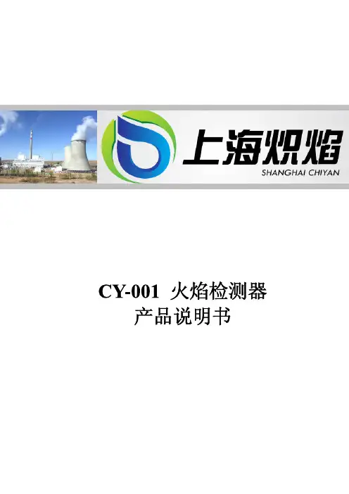 火检(FORNEY)替代品牌CY-001火检产品使用手册1.0