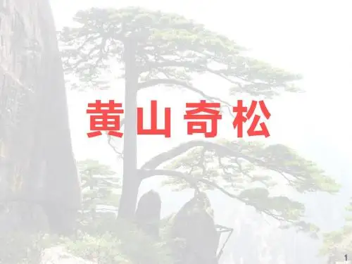 黄山奇松幻灯片PPT课件