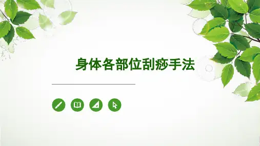 身体各部位刮痧手法