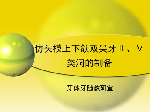 仿头模上下颌双尖牙Ⅱ、Ⅴ类洞的制备