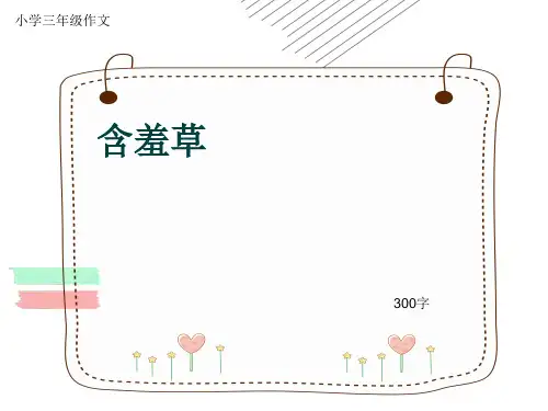 小学三年级作文《含羞草》300字(共14页PPT)