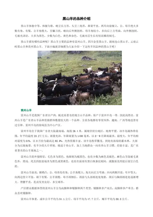 黑山羊的品种介绍