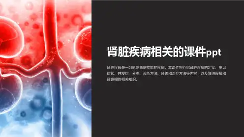 肾脏疾病相关的课件ppt