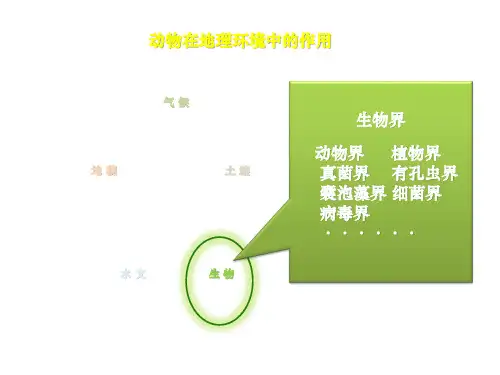 高考地理复习课 地理试题中的动物要素 课件(共19张ppt)