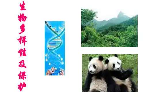 八年级生物生物多样性及保护27页PPT文档