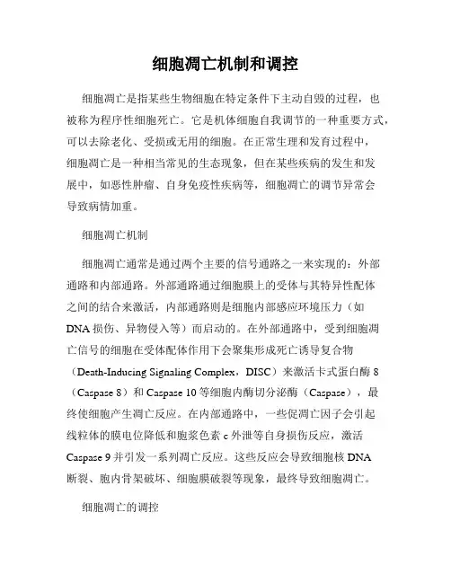 细胞凋亡机制和调控