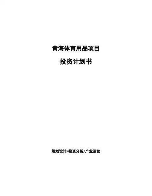 青海体育用品项目投资计划书