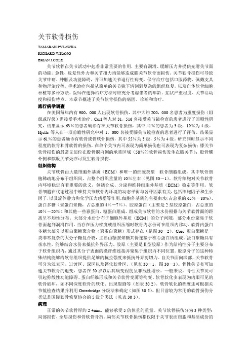 关节软骨损伤