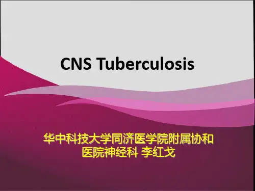 2014CNS结核
