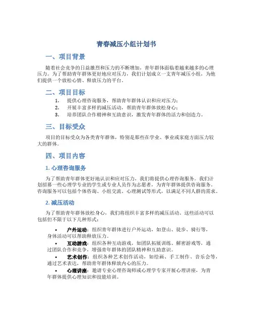 青春减压小组计划书