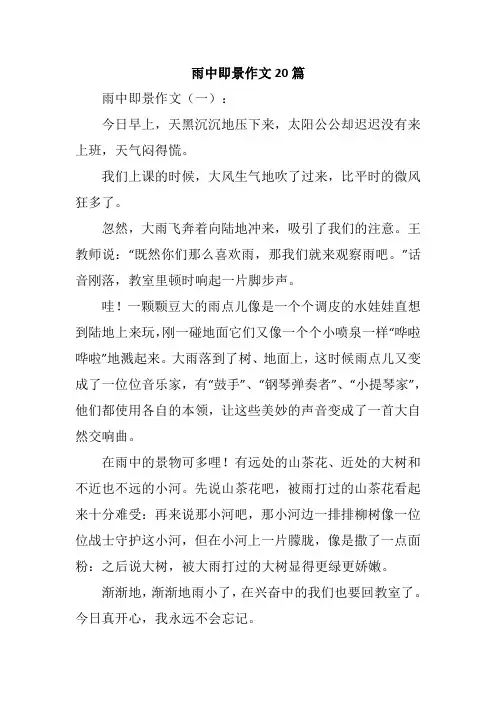 雨中即景作文20篇