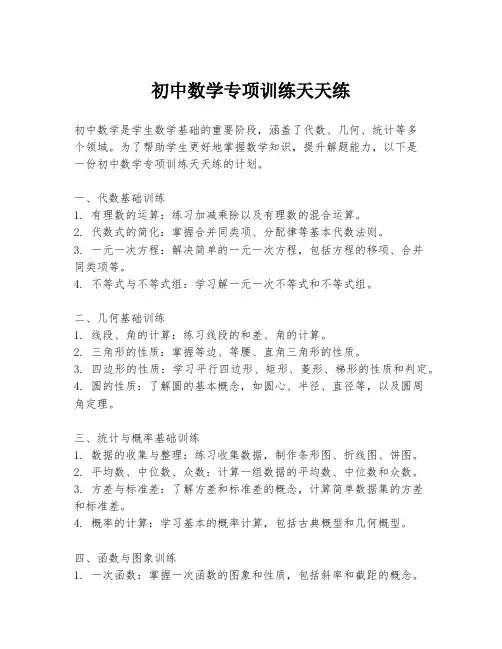 初中数学专项训练天天练