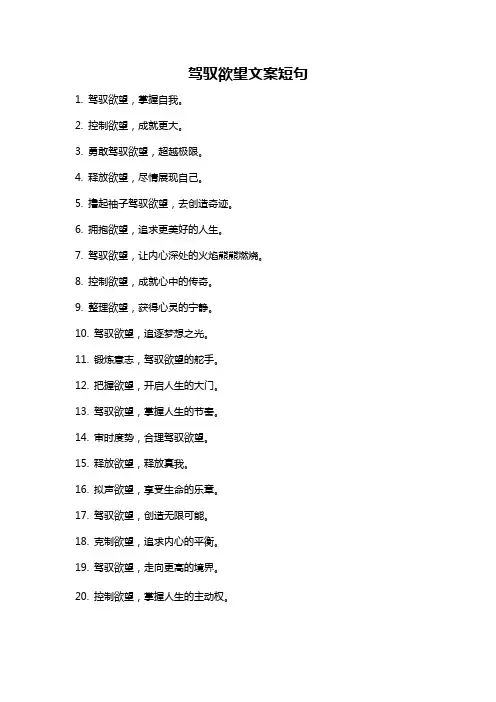 驾驭欲望文案短句