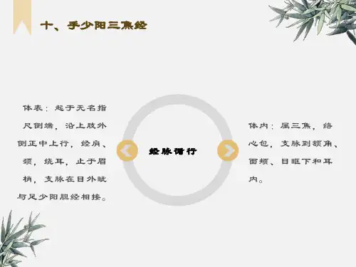 针灸穴位经络介绍-手少阳三焦经