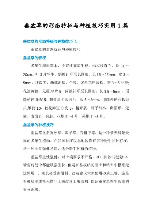 垂盆草的形态特征与种植技巧实用1篇