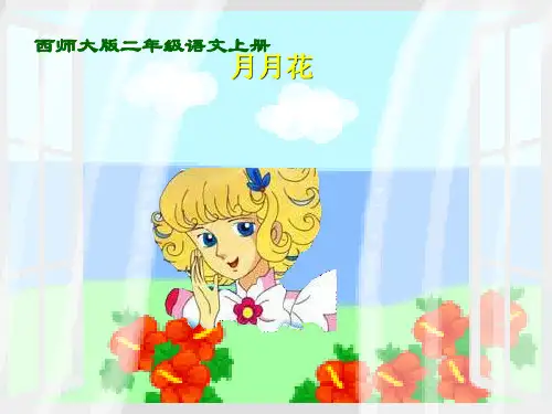 月月花 精品课件