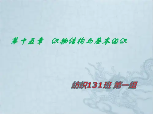 纺织材料学织物的组织和结构