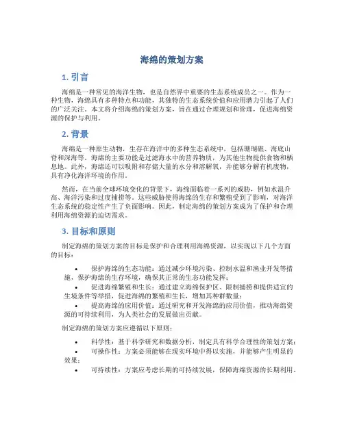 海绵的策划方案
