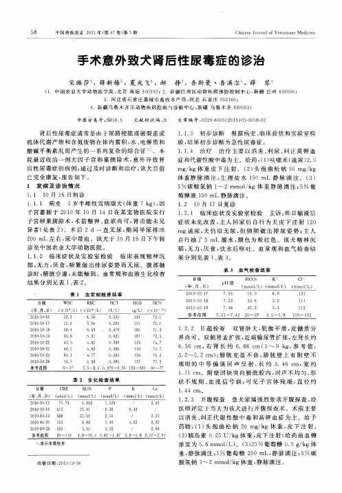 手术意外致犬肾后性尿毒症的诊治