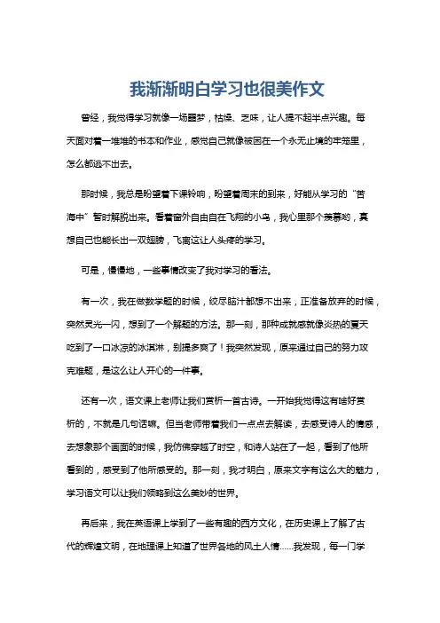 我渐渐明白学习也很美作文