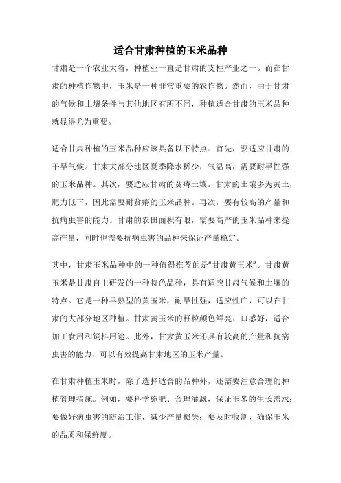 适合甘肃种植的玉米品种