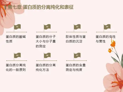 蛋白质分分离纯化和表征