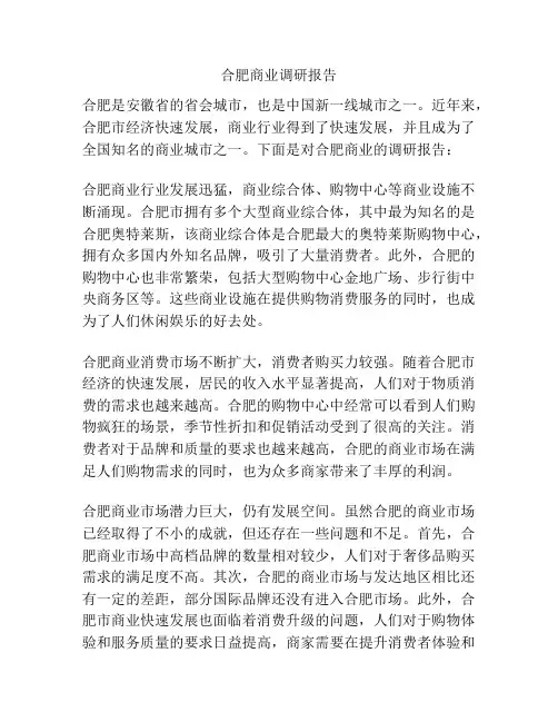 合肥商业调研报告
