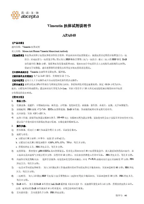 Vimentin抗体试剂说明书APA040