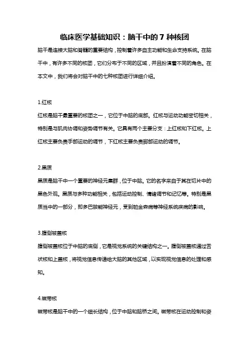 临床医学基础知识：脑干中的7种核团