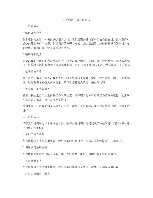 冬季锅炉自查自纠报告