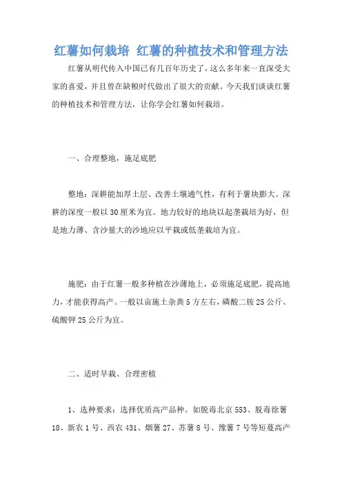 红薯如何栽培 红薯的种植技术和管理方法